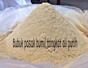 Bubuk Pasak Bumi Putih